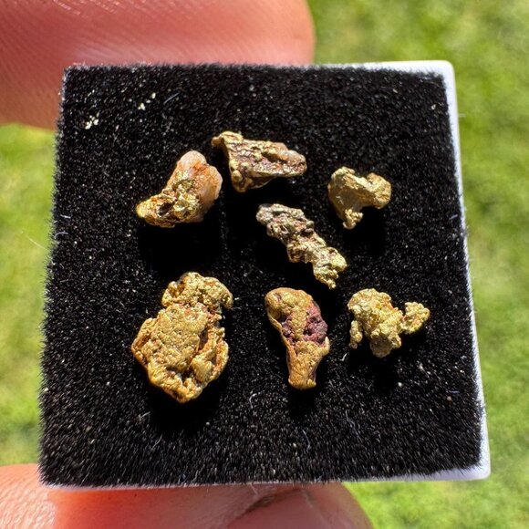 Arizona Gold Nuggets in Display Case - 0.62 grams - Picture 1 of 6